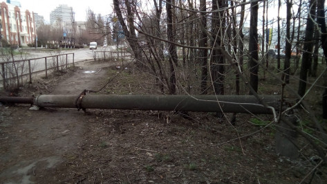 Воронежцы опубликовали фотографии поваленных столбов и деревьев после урагана 
