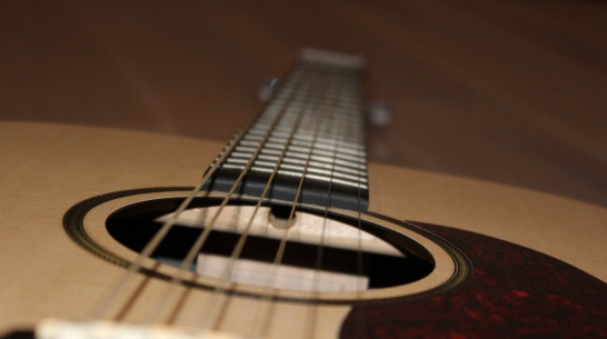 Клуб любителей гитарной музыки пригласил воронежцев на концерт