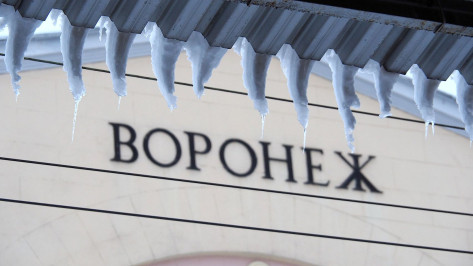 Резкое потепление придет в Воронеж в конце января