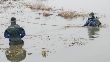 Водолазы начали поиски тела воронежской бизнес-леди