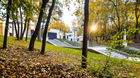 Стало известно, когда в Воронеж вернется солнечная погода