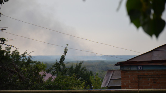 Молодой лес загорелся из-за грозы в Воронежской области