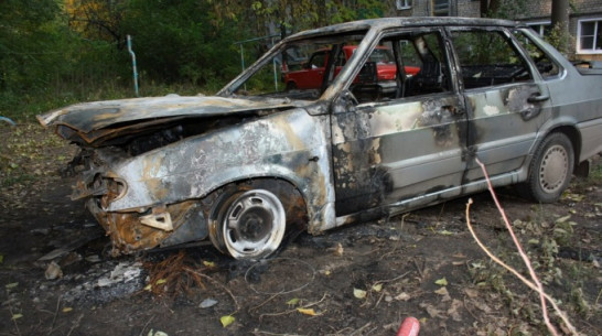 В Воронежской области 17-летний парень с приятелями угнал и сжег машину 