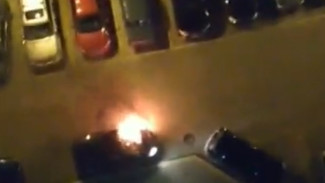 Полиция возбудила уголовные дела о поджоге 3 машин в центре Воронежа