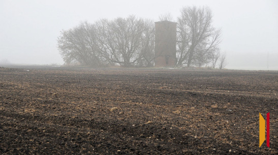 В Воронежской области продлили желтый уровень погодной опасности из-за тумана