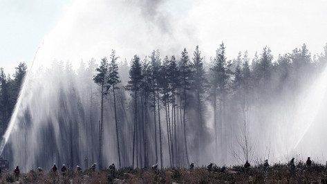 Фото РИА «Воронеж». Учения по ликвидации лесных пожаров в Масловке