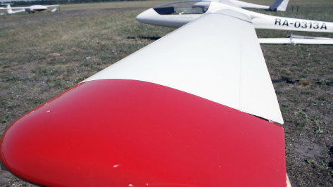 Небесная «Формула-1». Воронежских планеристов назвали фаворитами чемпионата России