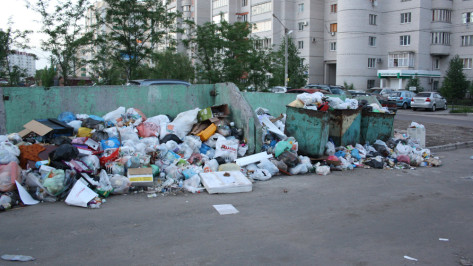 Две многоэтажки на улице Ломоносова в Воронеже скоро избавятся от мусорной свалки 