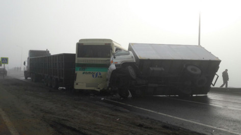 В массовом ДТП с автобусом «Белгород – Воронеж» пострадали 10 человек