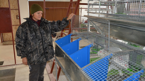 Ферма по разведению кроликов открылась в Россошанском районе