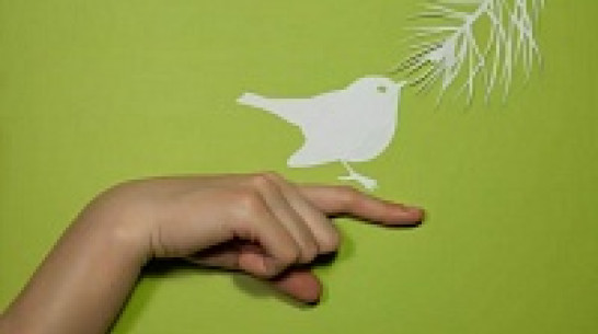 В Воронеже создали мультфильм о птицах по тексту Пескова