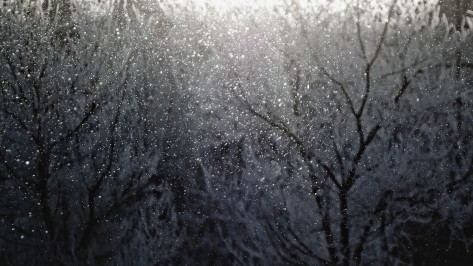 Мокрый снег пойдет в Воронеже в середине недели