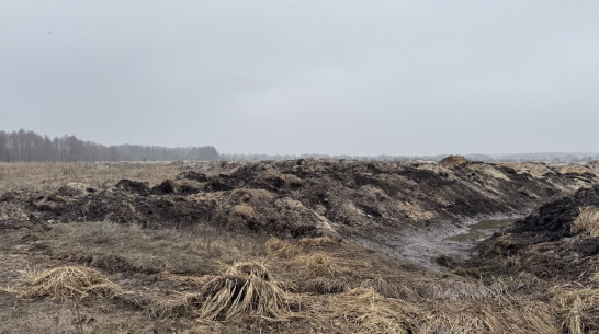 В Воронежской области работа тяжелой техники на Усманке привела к уголовному делу