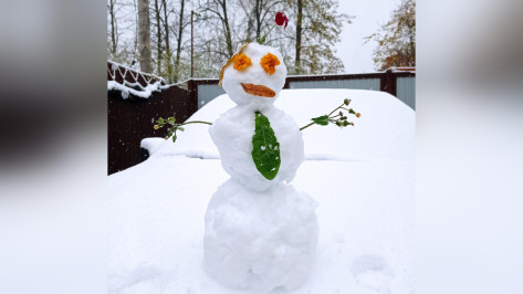 Воронежцы поделились в соцсетях десятками фото октябрьских снеговиков