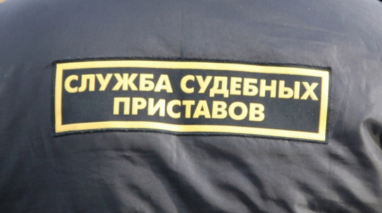 Жительница Лисок продала арестованное приставами имущество