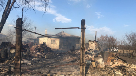 Из-за ландшафтного пожара загорелись 12 домов в воронежском селе