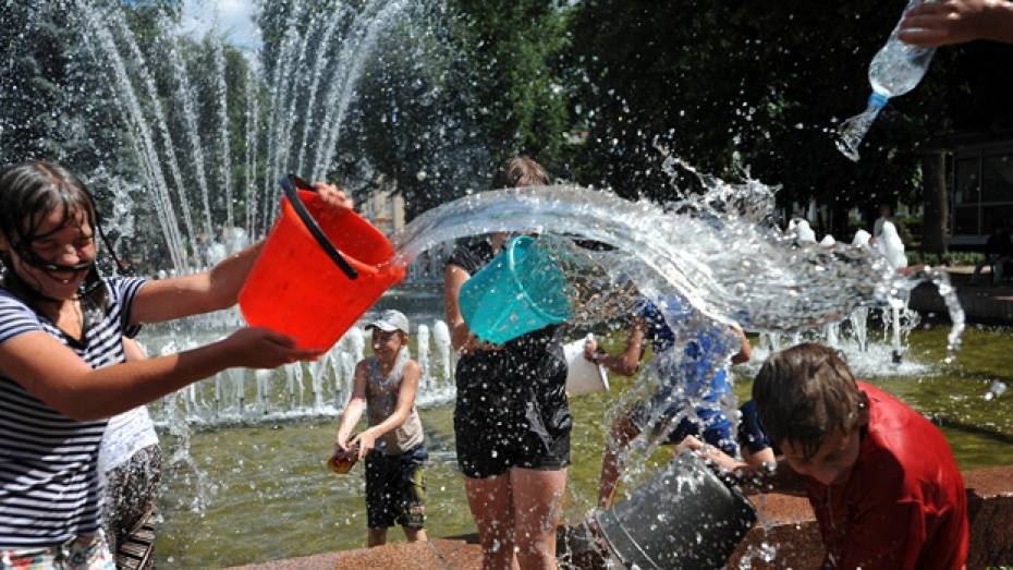 Начало лета-2019 в Воронежской области стало одним из самых жарких за столетие