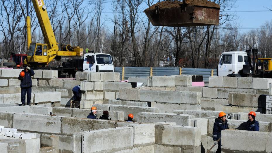 В Воронежской области может появиться «белорусский» поселок на 3 тыс жителей