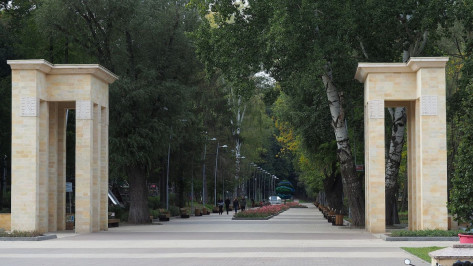 Власти проведут международный конкурс на разработку концепции Центрального парка Воронежа