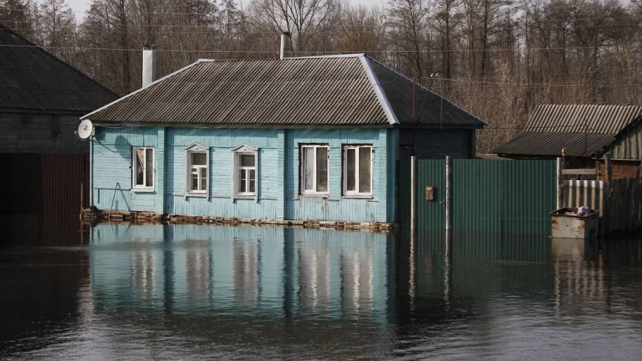 В Воронежской области за сутки от воды освободились 75 придомовых территорий