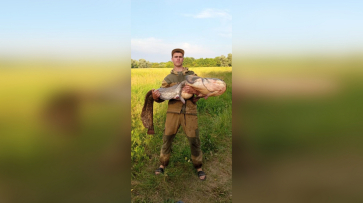 Юный рыбак из Воронежской области поймал 30-килограммового сома