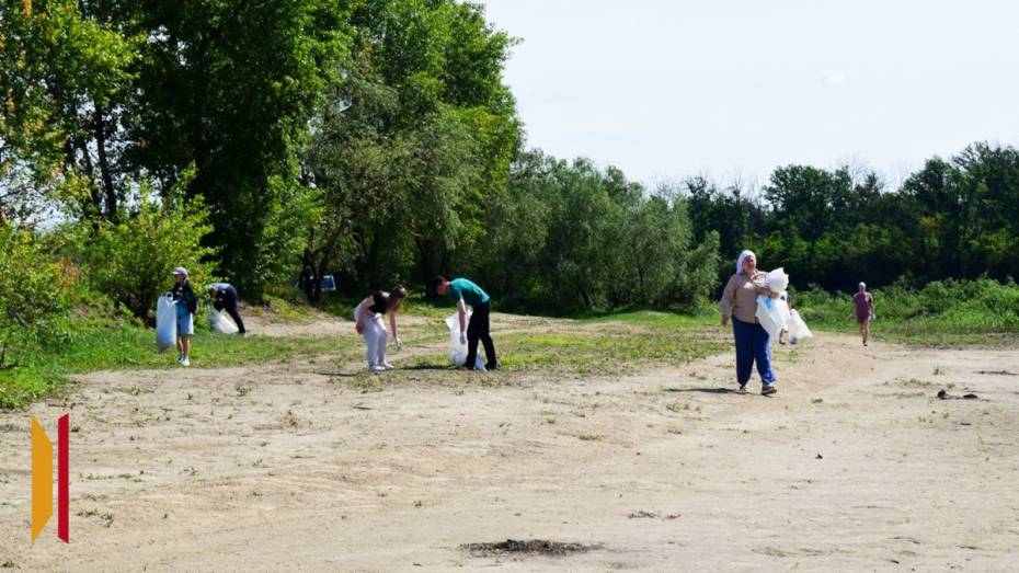 Подгоренцев пригласили на субботник на берегу реки Дон
