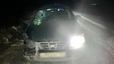 Под Воронежем автомобиль KIA насмерть сбил пешехода