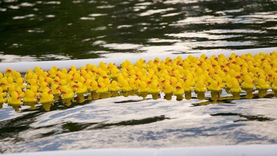 Благотворительный «Утиный заплыв» пройдет в Москве при поддержке Tele2