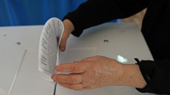 За полдня в Воронежской области проголосовали почти 30% избирателей