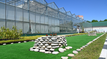 Путь к декарбонизации. В Воронеже борются с углеродным следом