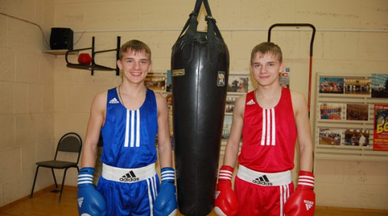 Россошанские боксеры победили на областном турнире по боксу