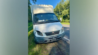 Грузовая «Газель» насмерть сбила велосипедиста в Воронежской области