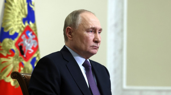 Владимир Путин подписал указ о назначении 12 судей в Воронежской области