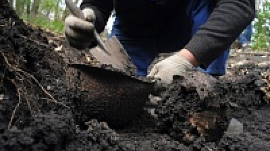 Воронежские поисковики собрали все находки в одной книге