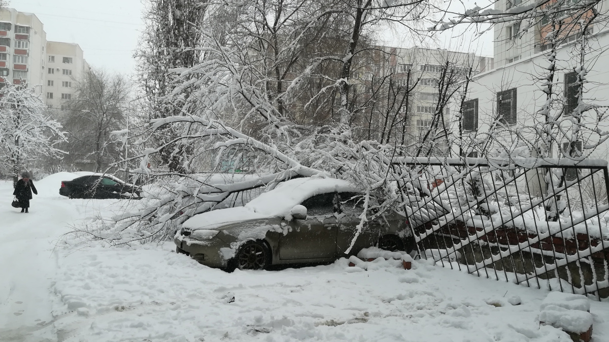 Снегопад в Воронеже