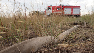 Чрезвычайная пожароопасность сохранилась в половине районов Воронежской области 