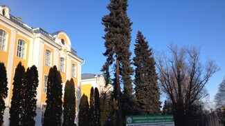 Воронежский аграрный университет продлил карантин по гриппу до 13 февраля
