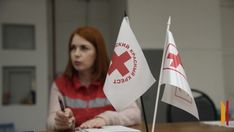 Представители Воронежского отделения Красного Креста навестили переселенцев из соседних регионов