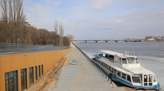 В Воронеже на парапете Петровской набережной отслоилась краска