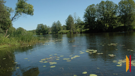 Труп мужчины обнаружили в Усманке в воронежском микрорайоне Боровое