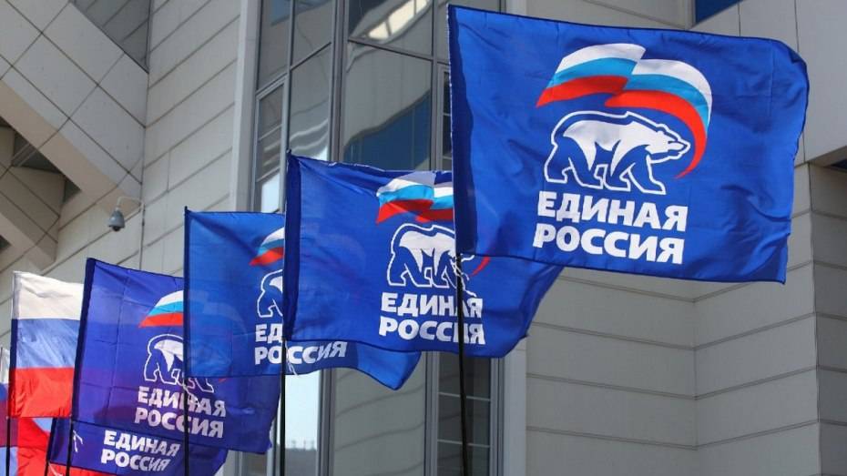 Воронежские единороссы получат 500 млн рублей на развитие 4 партийных проектов