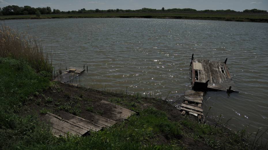 Доступ к озеру под Воронежем сделают открытым