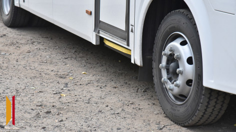 Бесплатный проезд для воронежских школьников из многодетных малоимущих семей начнет действовать с 13 сентября