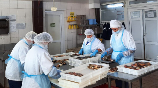 Воронежский рыбзавод повысил производительность благодаря нацпроекту