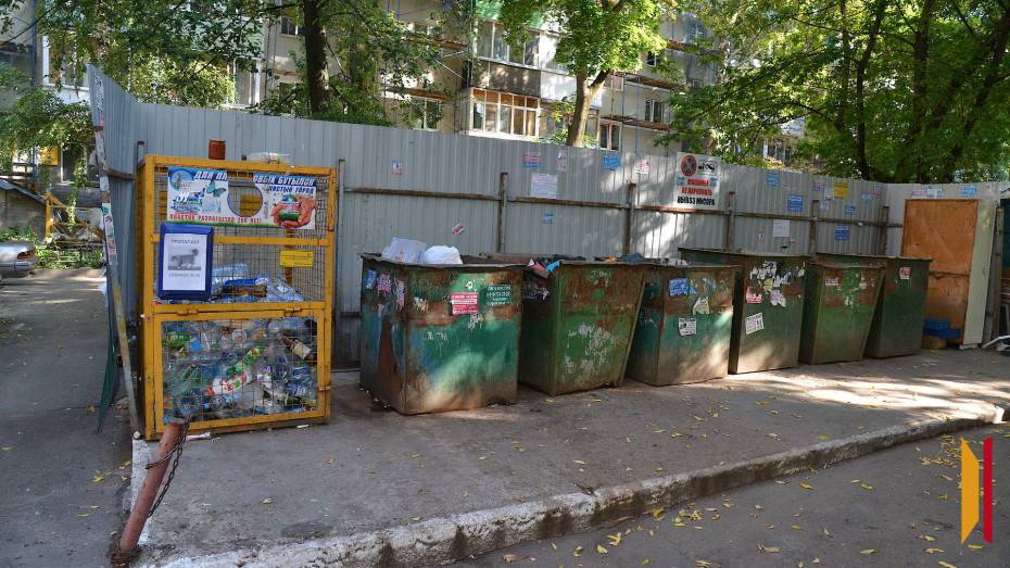 «Мусорных» камер в Воронеже станет больше