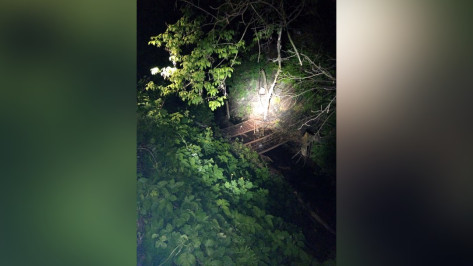 Воронежские волонтеры объявили поиски 14-летнего подростка