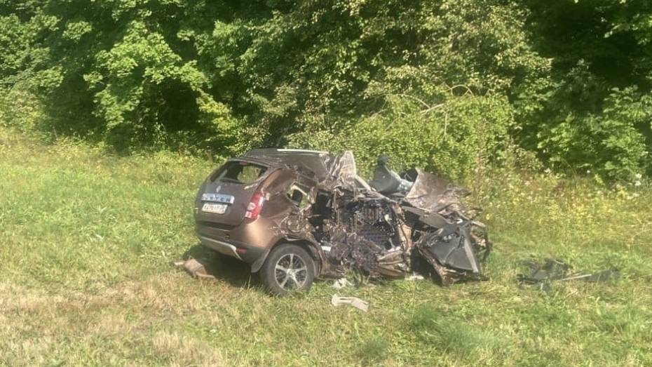 Два человека погибли при жестком встречном столкновении грузовика и Renault Duster