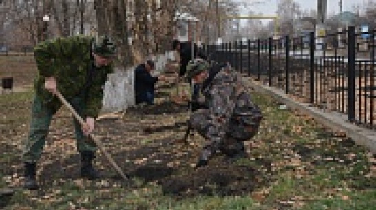 Нижнедевицкие экологи высадили в Центральном парке саженцы дуба и рябины