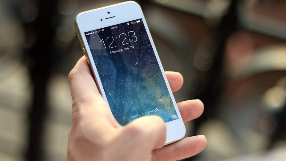 В Воронежской области сотрудник колонии попал под следствие за подаренный зэком iPhone