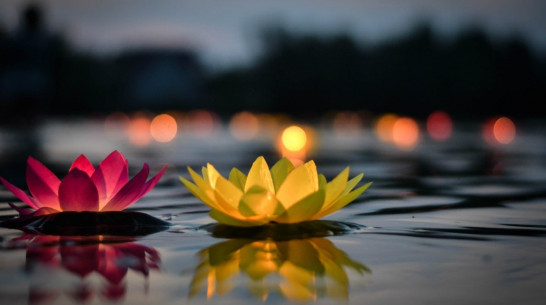 В Воронеже пройдет запуск водных фонариков